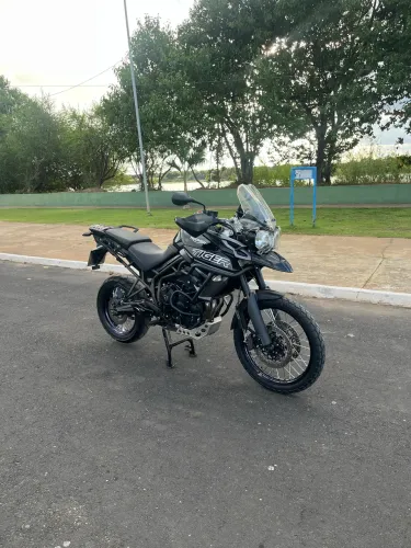 Tiger 800 xcx