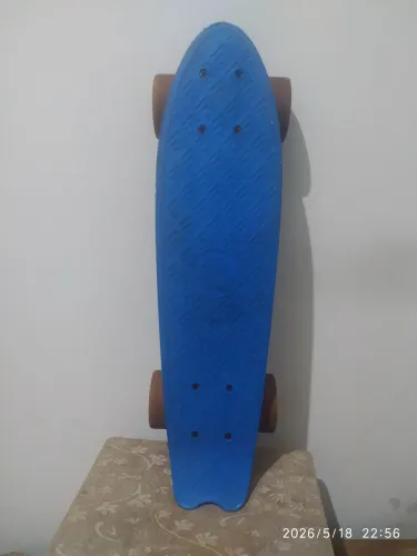 Skate Penny