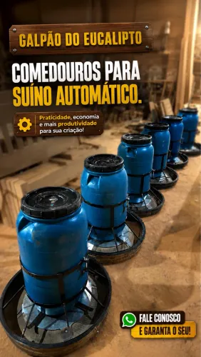 Comedouro para suínos