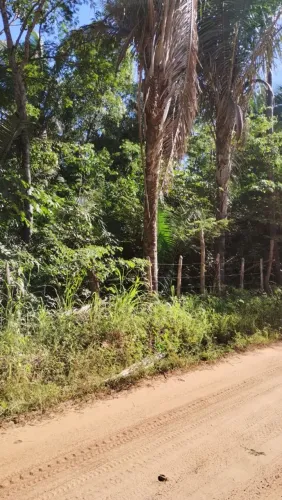 TERRENO LOCALIZADO NA CHAPADINHA SUL, PRÓXIMO A DEMERVAL LOBÃO 