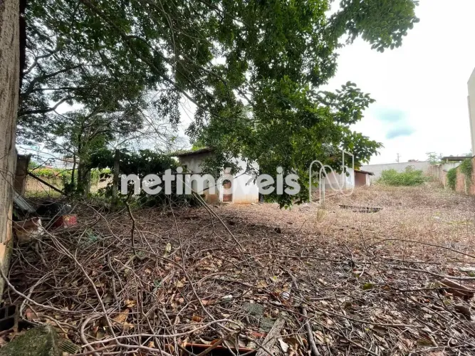 Venda Lote-Área-Terreno Nossa Senhora Aparecida Florestal