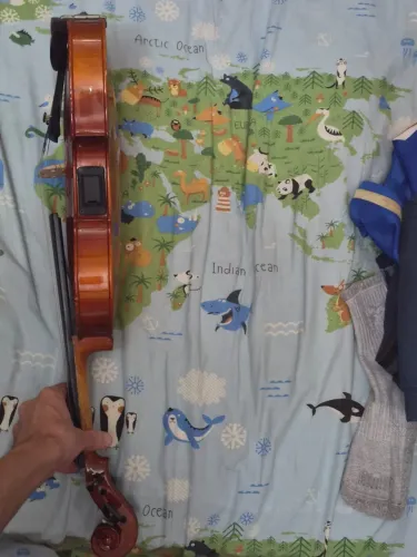 Violino Eagle