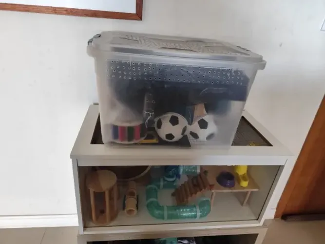 Terrário para Hamster 