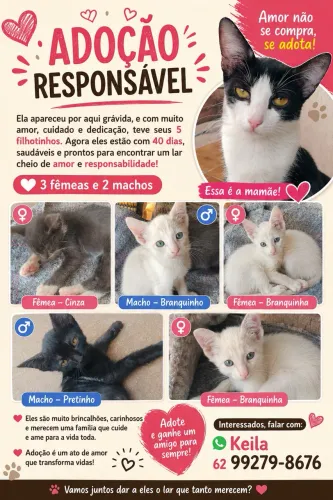 Adoção responsável 