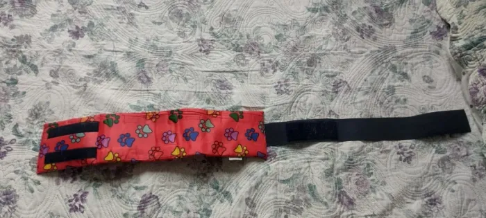 Vendo colar cervical para pet