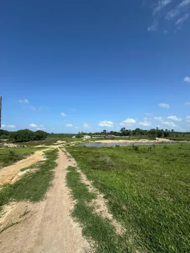 terreno em Roraima