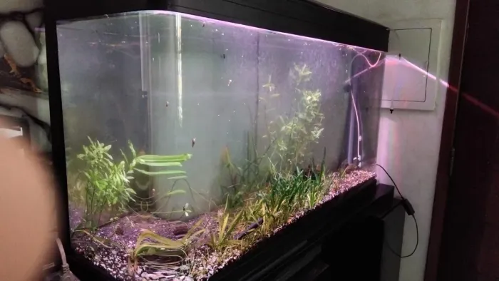 Aquário curvo plantado com substrato novo 120x38x60