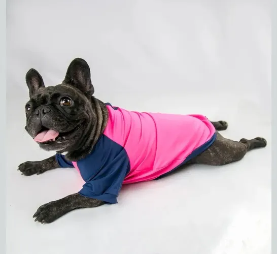 Roupa Pet Proteção UV