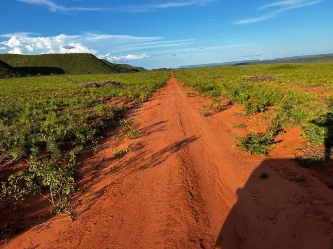 Fazenda a venda em Alto Parnaiba do Marnhão