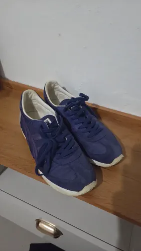 Asics onitsuka tiger