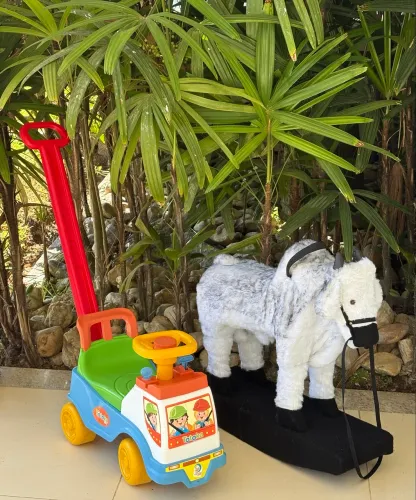Vendo boizinho e totoka 