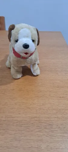 Cachorro pula pula