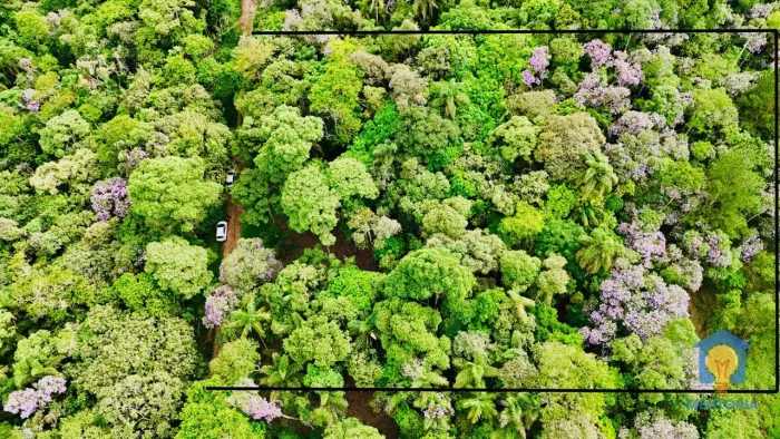 Terreno à venda, 2700 m² por R$ 265.000,00 - Chácaras Embu Colonial - Embu das Artes/SP