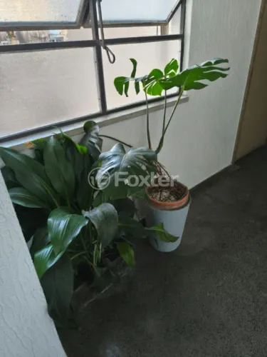 Apartamento à venda Rua Riachuelo, Centro Histórico - Porto Alegre