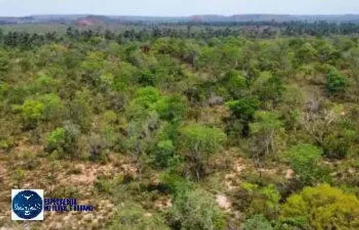 Área de Reserva à Venda no Jalapão Tocantins | 10.000 Hectares