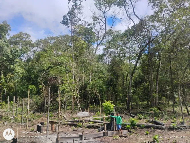 Vendo um terreno na Ilha do caratateua vulgo Outeiro estrada do Fama