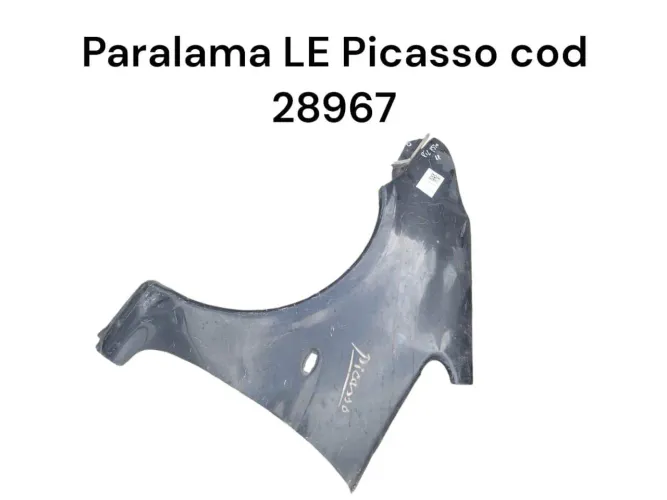 Paralama LE Picasso