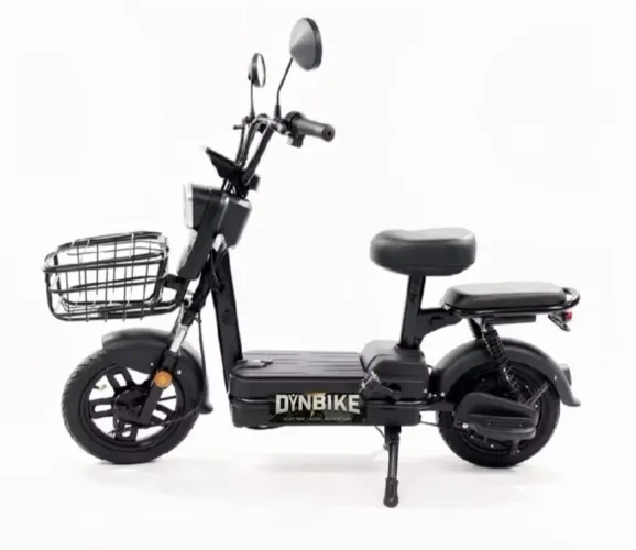 DYNBIKE
