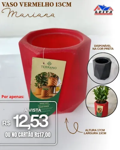 Vaso de Planta