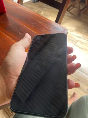 iPhone 12 Pro Max