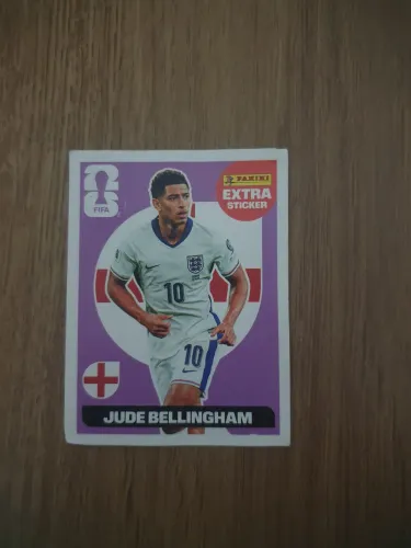 Bellingham bordo legend