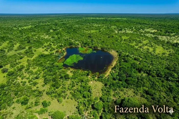 Fazenda em Piancó: Investimento Imperdível!