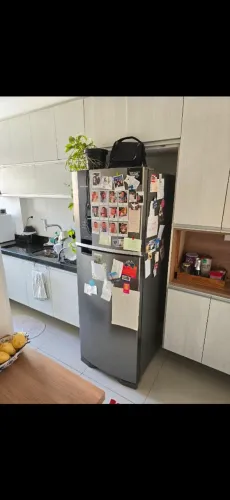 Brastemp Frost Free Duplex Inox