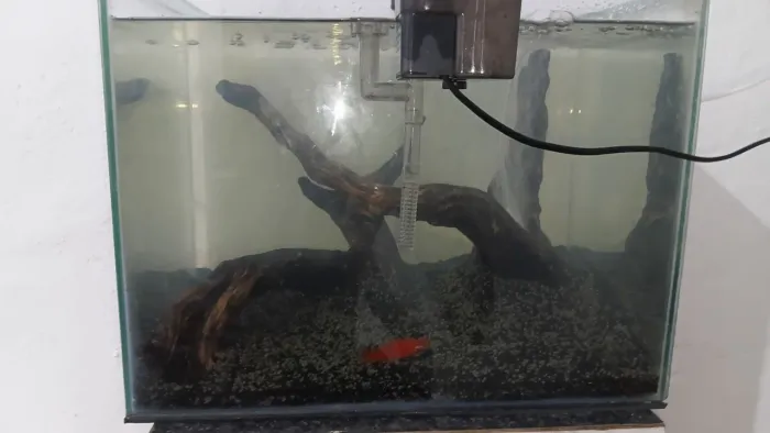 Aquario 60 litros