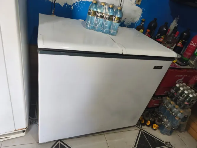 Freezee 2100