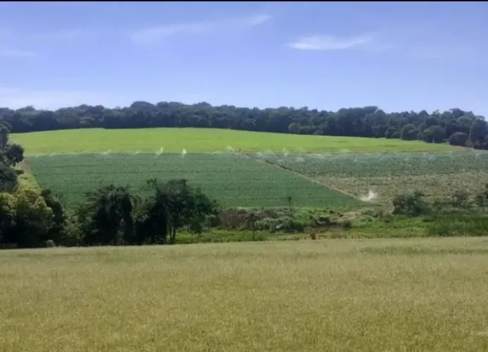 terreno - Caminho das águas - Tuiuti