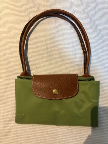 Longchamp M lichen