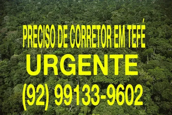 Preciso de terreno de 100 , 200 ou 300 ha em Tefé Am