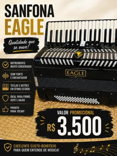 Acordeon/sanfona eagle 80bxs