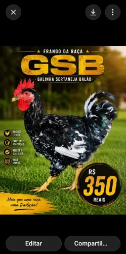 Gsb 