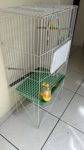 Gaiola grande para calopsita
