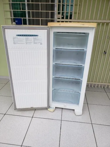 Oportunidade Freezer Electrolux FE 18 Usado 110 Volts Entrego e Aceito Cartão