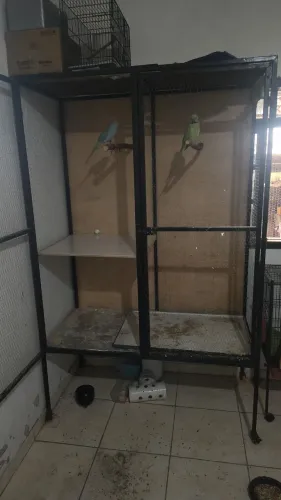 Viveiro pra Aves