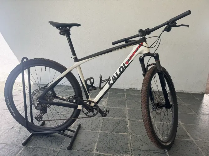 Caloi Elite Carbon 19