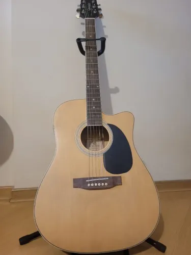 Violão Giannini Performance Lindo 