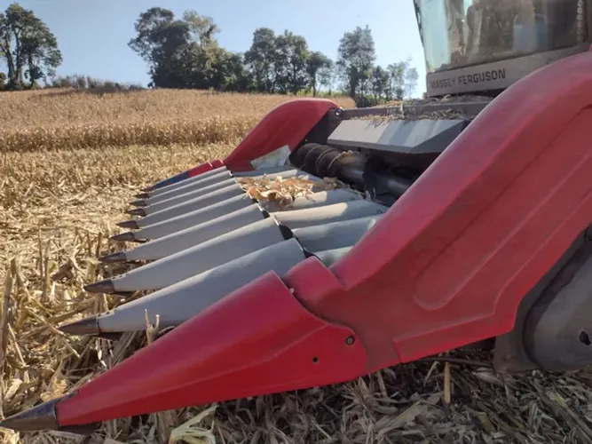 Plataforma de milho Massey MF 3009 9x45