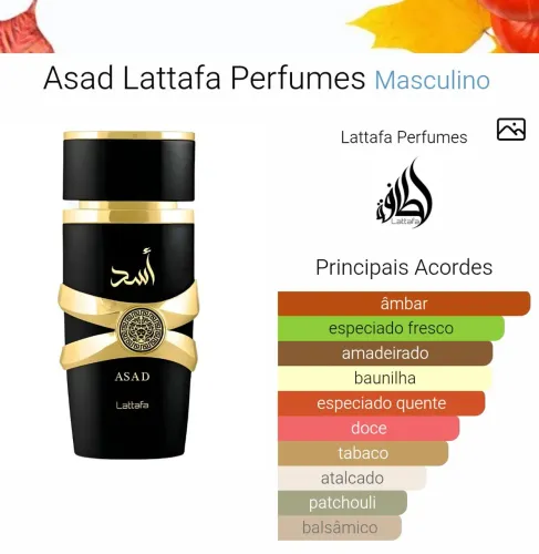 SUPER Black Friday de perfumes importados