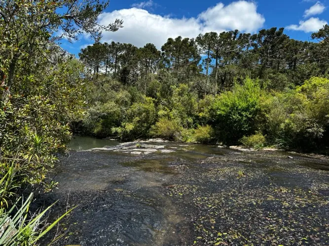 sitio a venda em Urubici