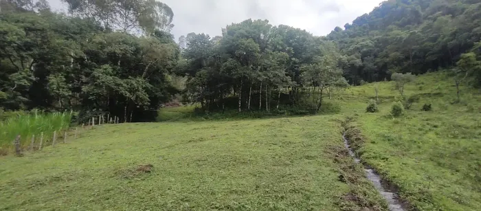 Terreno contendo 12 hectares na região de Delfim Moreira- Sul de Minas Gerais.