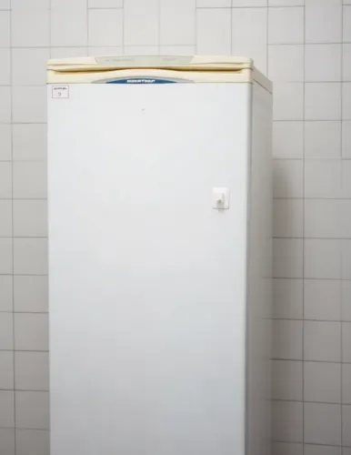 [DESCONTÃO] GELADEIRA BRATEMP 350L  - 3x R$400 no cartão de crédito