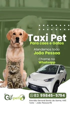 Serviço Taxi Pet