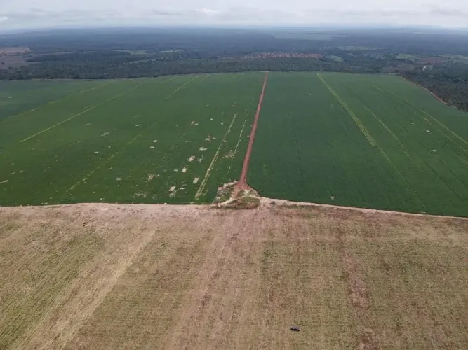 Fazenda à Venda em Araguaína/TO - 1.420 hectares