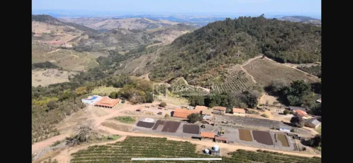 Fazenda produtiva à venda, 242 hectares por R$ 25.000.000 - Espírito Santo do Pinhal/SP