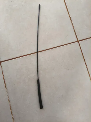 Antena Fiesta Zetec Rocam Original