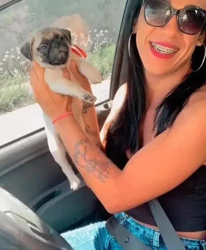Pug