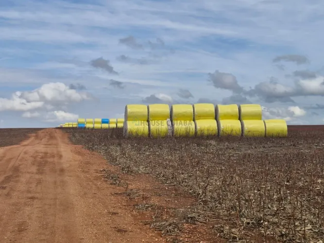 Fazenda à venda de 2.200 hectares no Nortão de Mato grosso MT